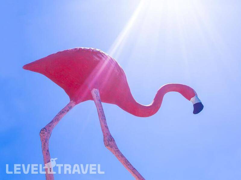 Фотография Flamingo Residence