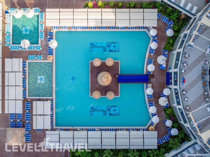 Фотография Maxeria Blue Didyma