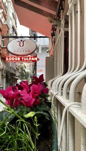 The House Of Tulpan