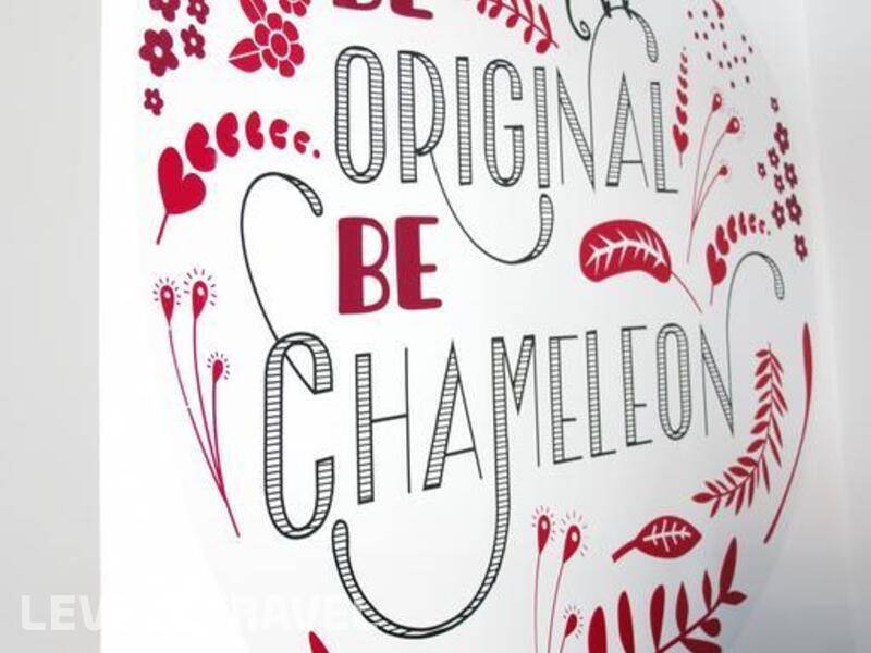 Фотография Chameleon Hostel Alicante
