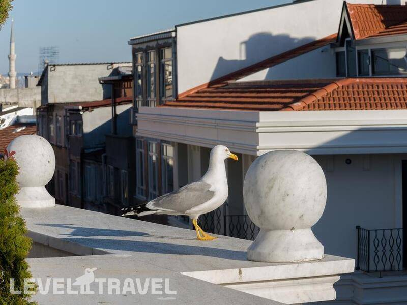 Фотография Bizim Hotel