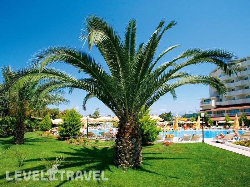 Фотография Febeach Hotel Side