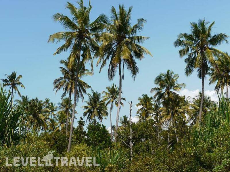 Фотография Barefoot Zanzibar