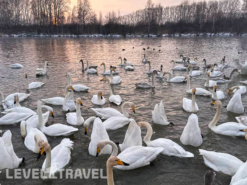 Фотография Санаторий Долина Алтая