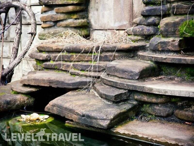 Фотография Мини-Отель Уютный Дворик Фотография Мини-Отель Уютный Дворик