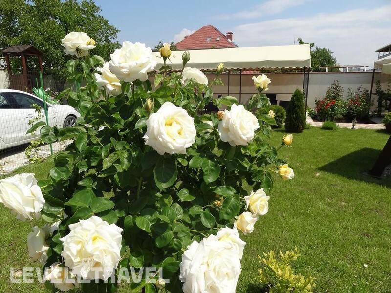 Фотография Мини-Отель Севастопольская Усадьба