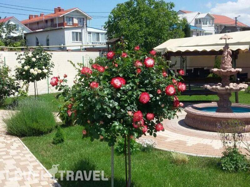Фотография Мини-Отель Севастопольская Усадьба