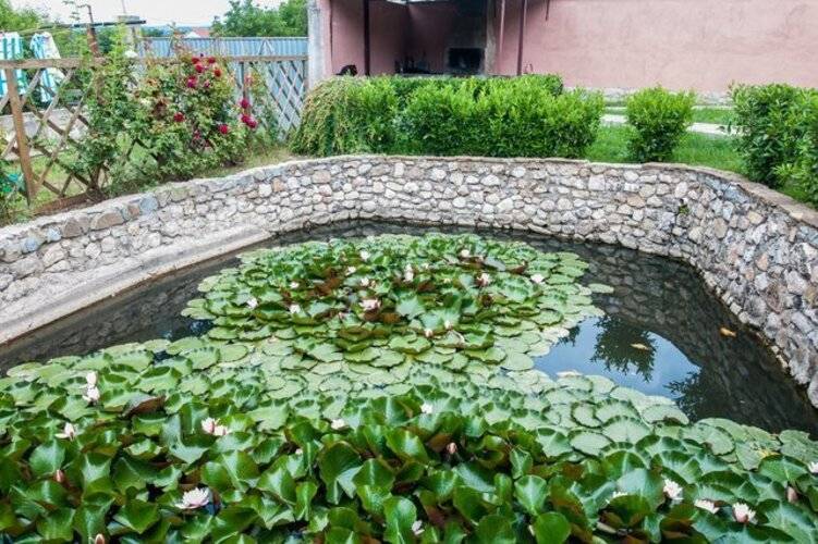 Приют Странника