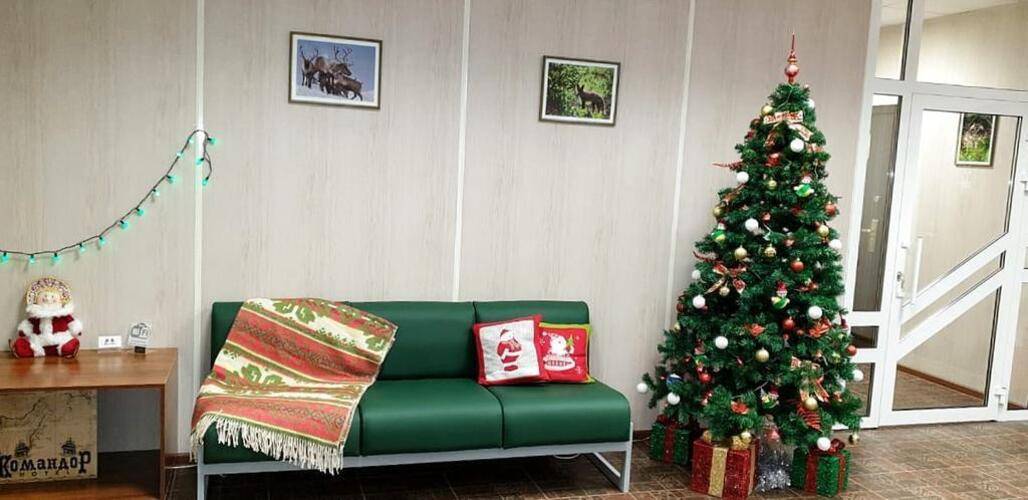 Гостиница Командор