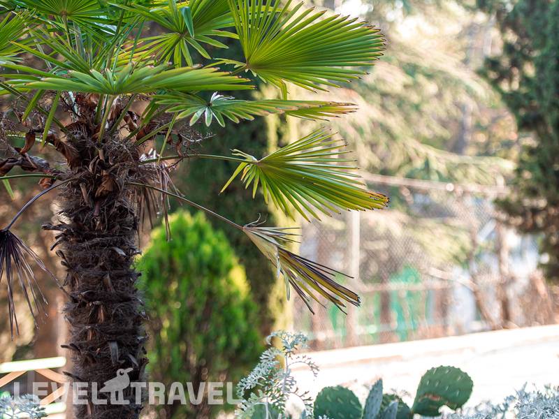 Фотография Пансионат Дача Бекетова