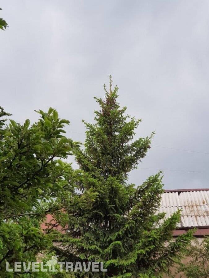 Изображение отеля 19