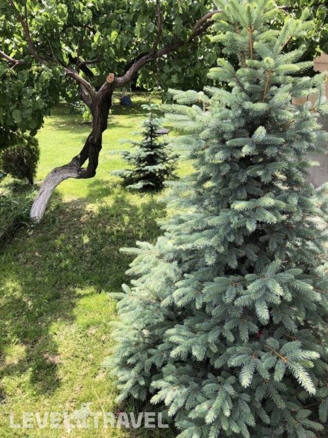 Изображение отеля 22