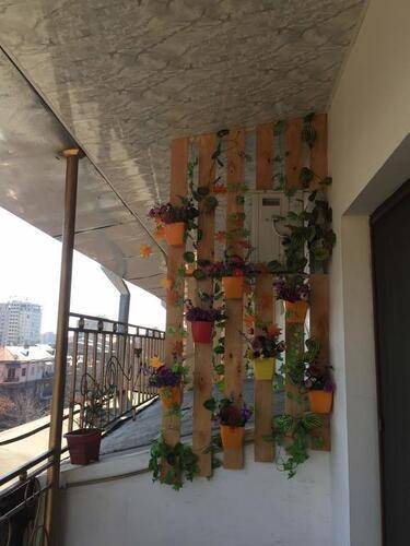 Arm Hostel