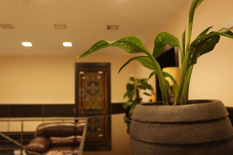 Lilia Hotel Yerevan
