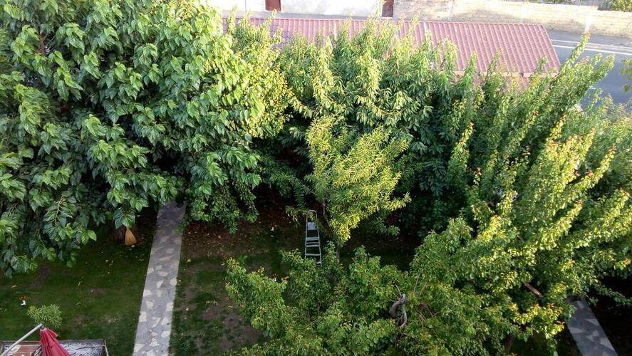 Отель Патриотт