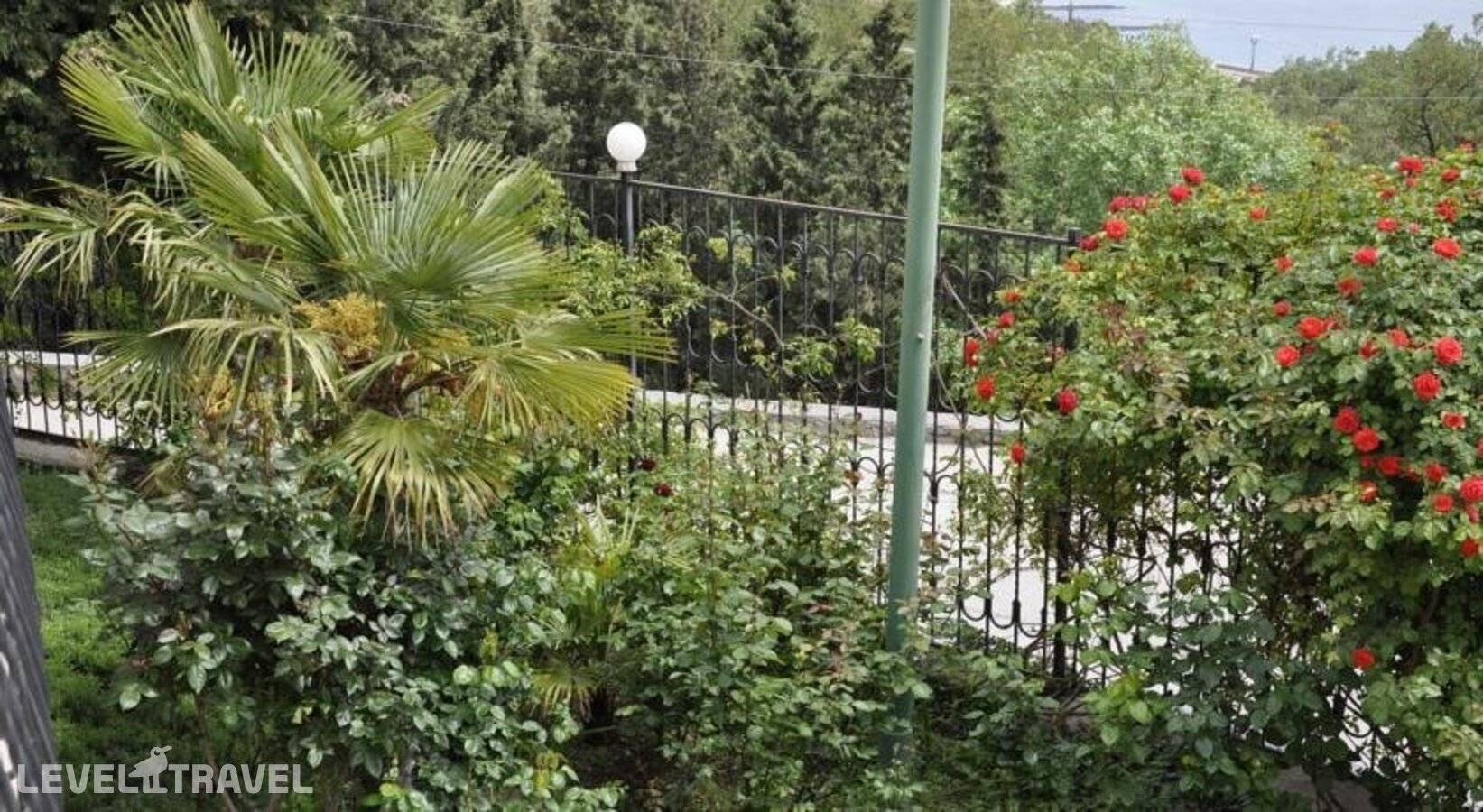 фотографии отеля Семейный Отель Лаванда в Россия(Отрадное) - фото №10