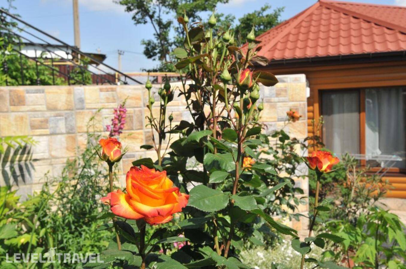Изображение отеля 23