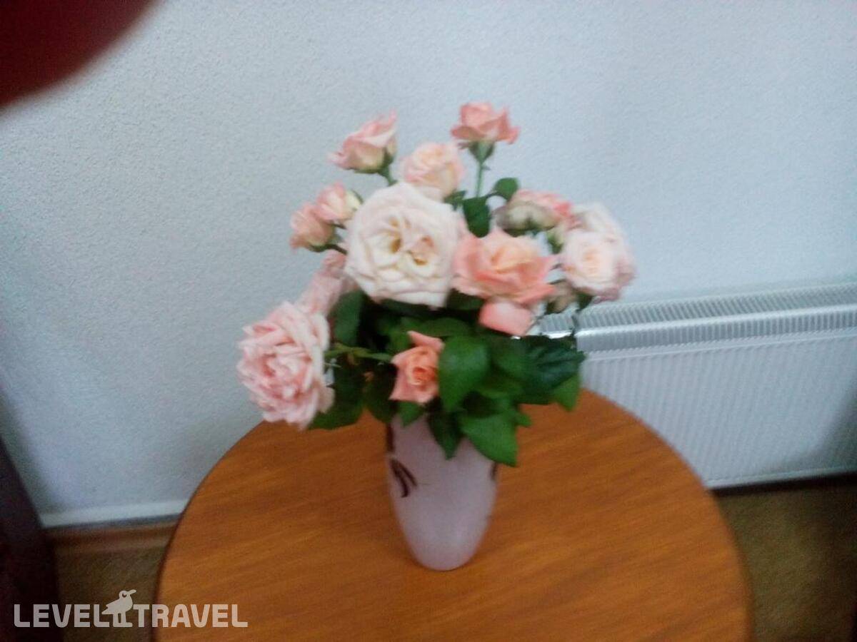 Изображение отеля 33