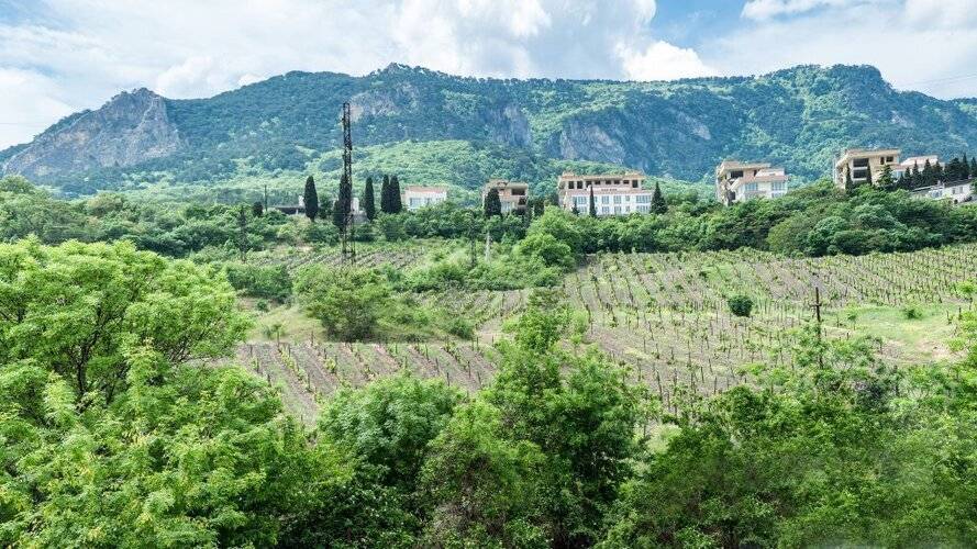 Гостевой Дом Дриада