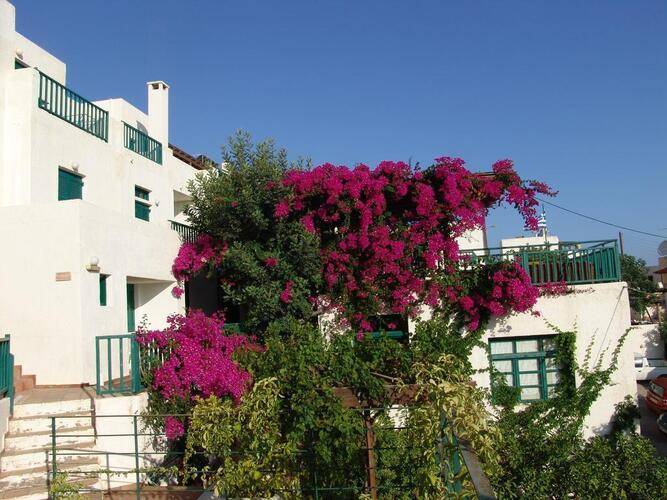 Amazones Kalimera Village