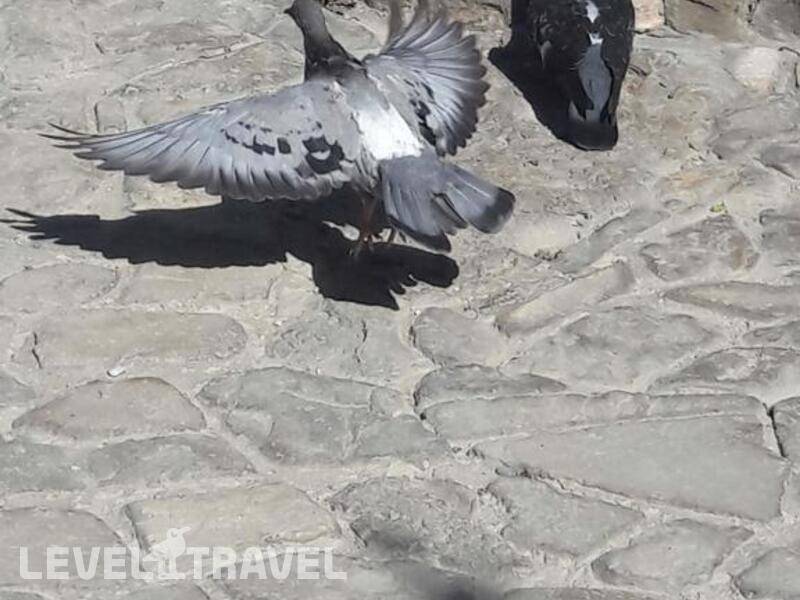 Фотография Гостевой Дом Уют