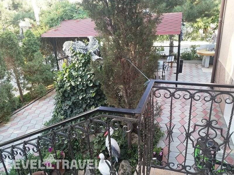 Фотография Мини-Отель Дельфиния Фотография Мини-Отель Дельфиния