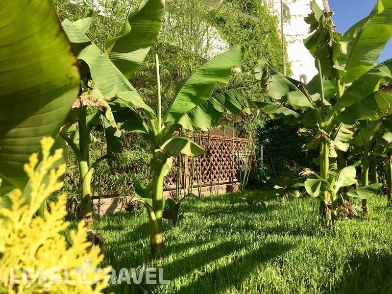 Фотография Отель Оазис Фотография Отель Оазис