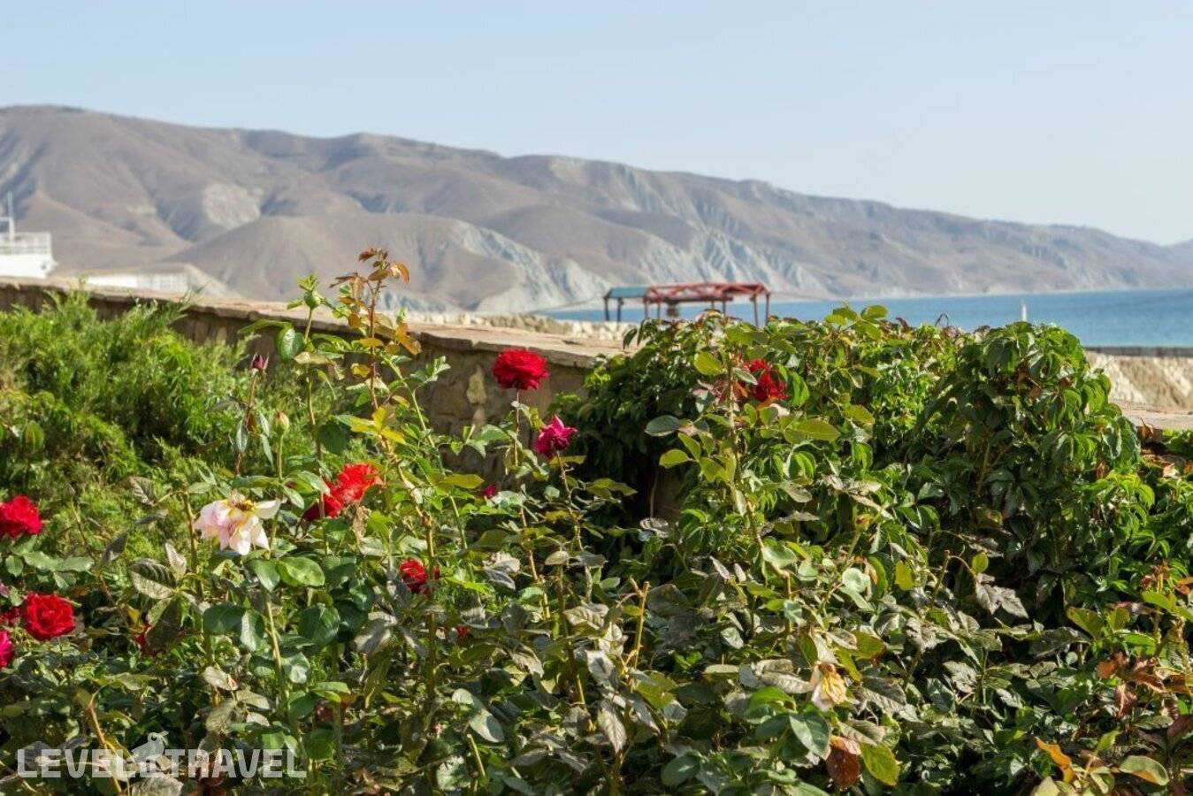 фотографии отеля Отель Катрин в Россия(Орджоникидзе) - фото №2