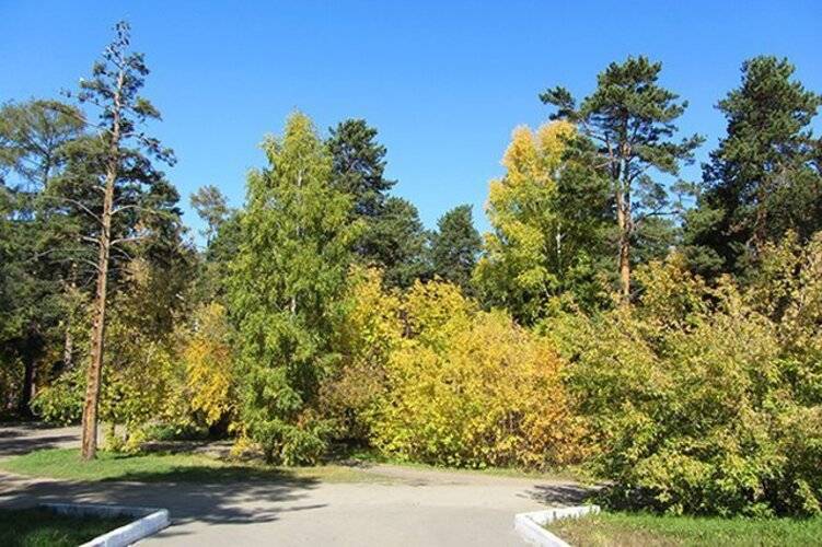 Курорт Ангара