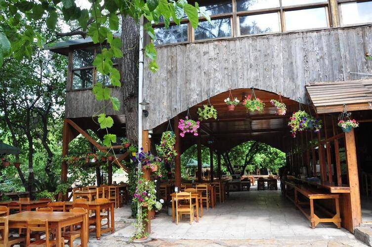 Turkmen Tree Houses