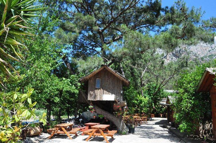 Turkmen Tree Houses