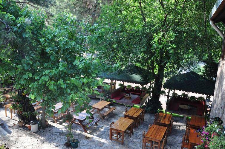 Turkmen Tree Houses