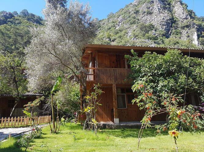 Turkmen Tree Houses
