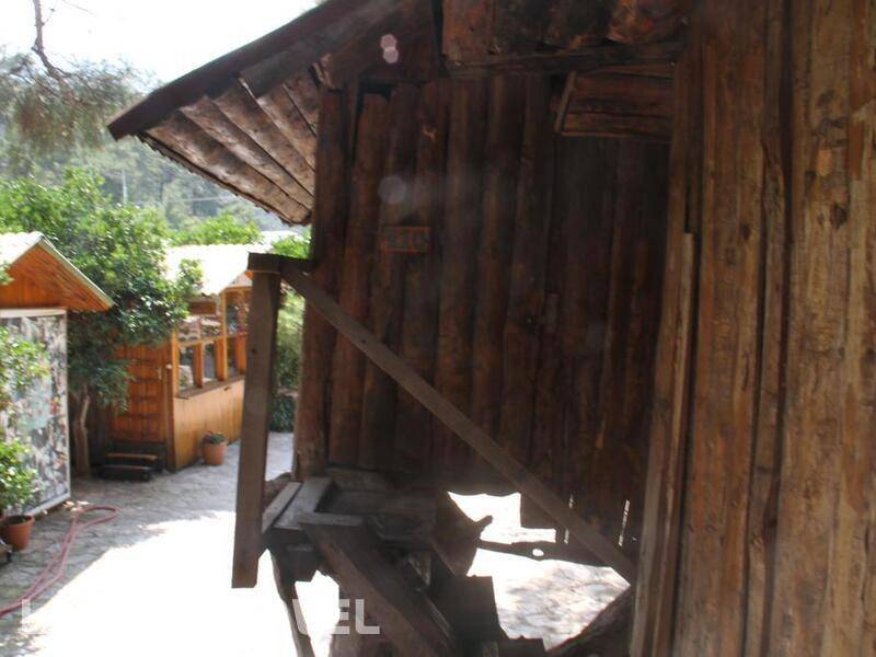 Фотография Turkmen Tree Houses