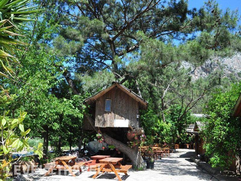 Фотография Turkmen Tree Houses