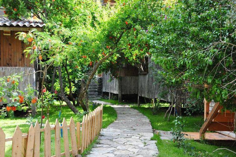 Turkmen Tree Houses