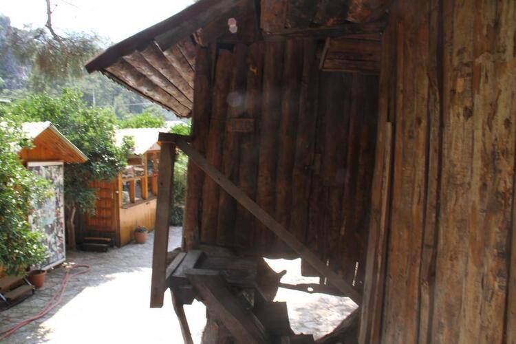 Turkmen Tree Houses