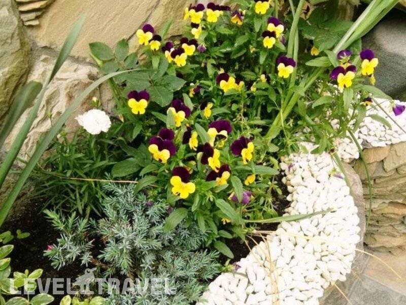 Фотография Гостевой Дом Лазаревское