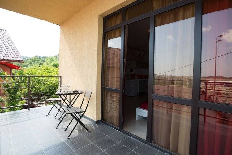 Amosov's House