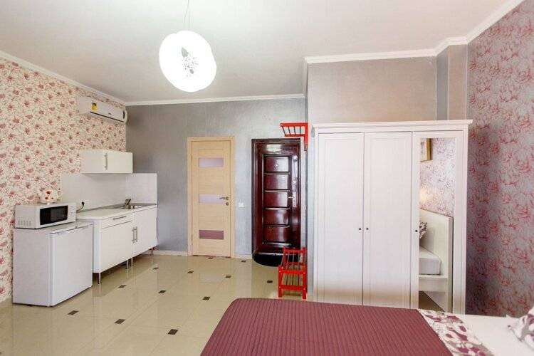 Amosov's House