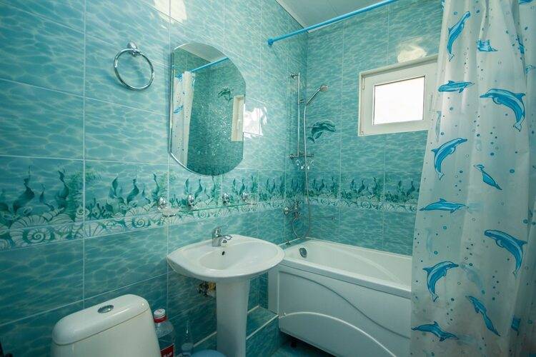 Отель Аист