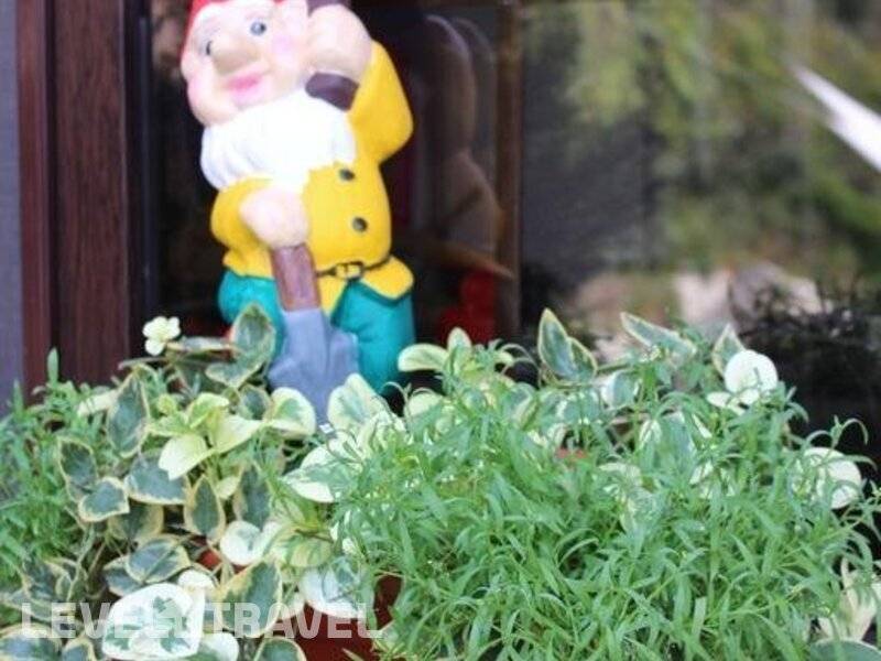 Фотография Гостевой Дом Эмили