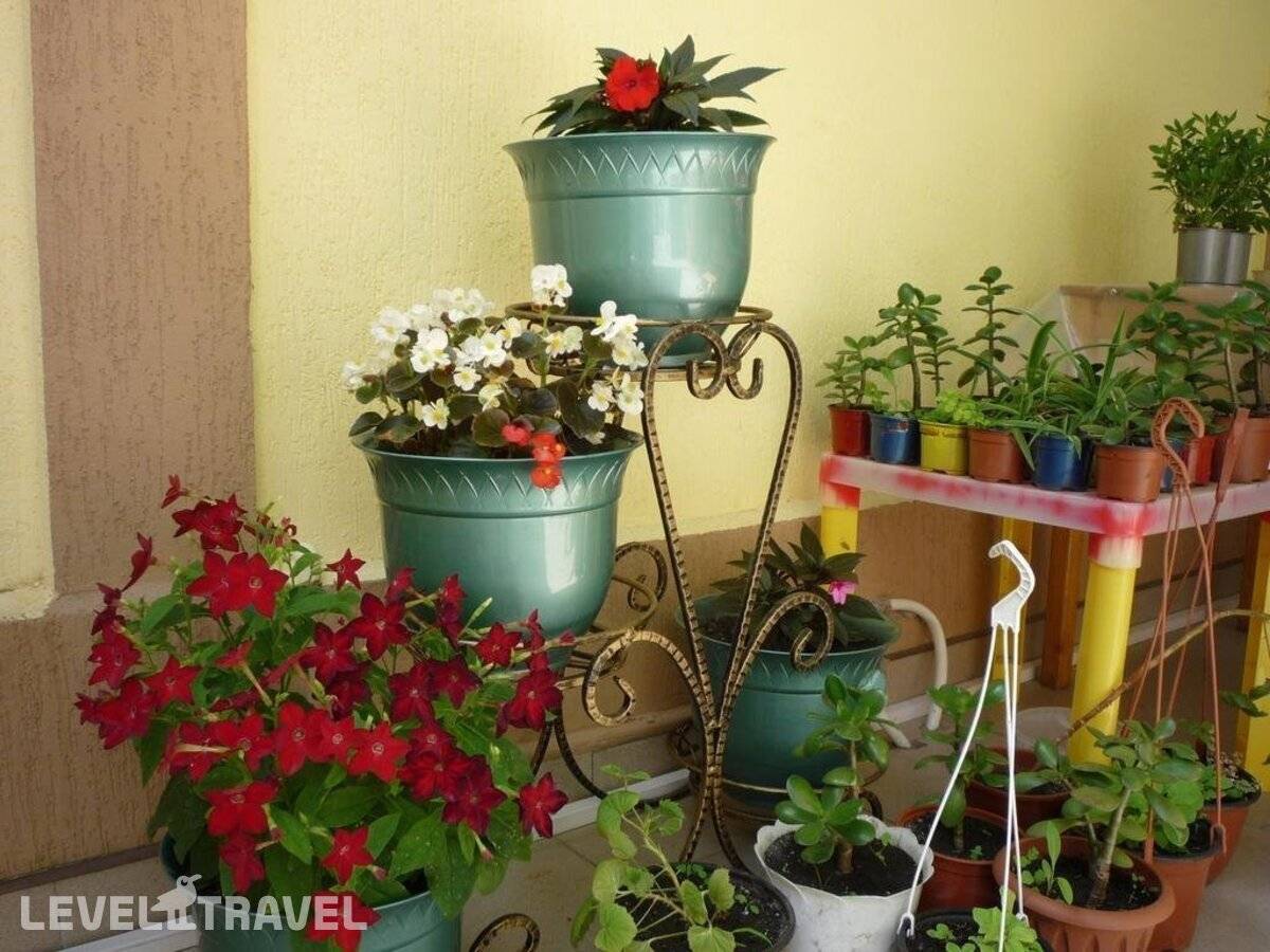 Изображение отеля 10