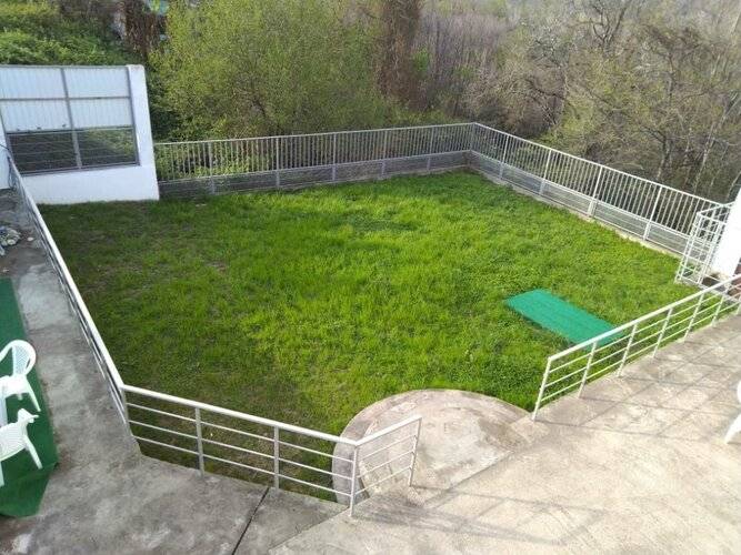 ГД Белые Росы