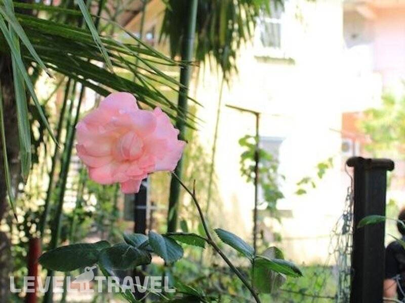 Фотография Гостевой Дом Бамбук-Хутор