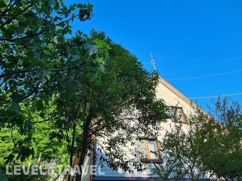Фотография Мини-Отель Оранжевое Солнце Фотография Мини-Отель Оранжевое Солнце