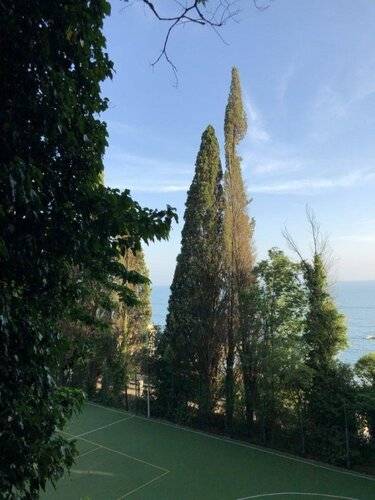 Таис — фото 15