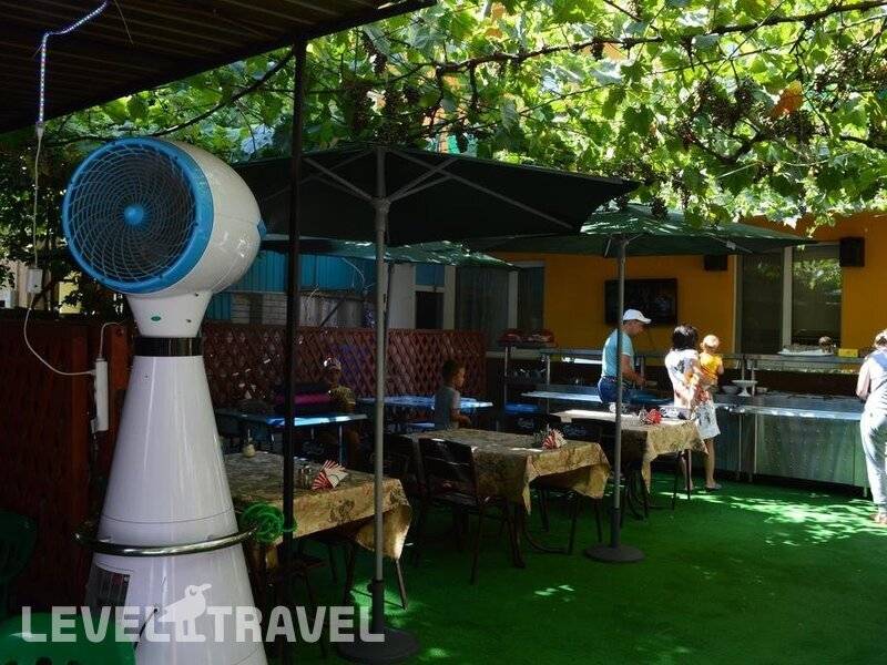Фотография Давзар