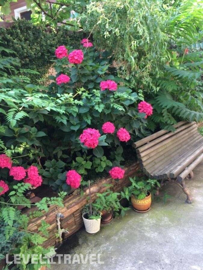Изображение отеля 35