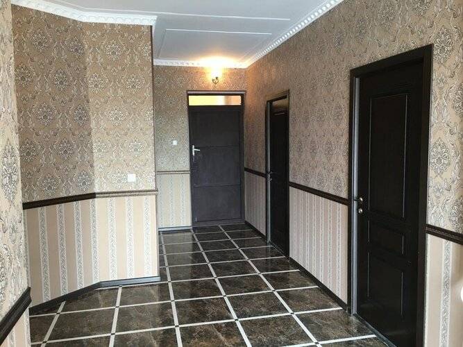 Алгор